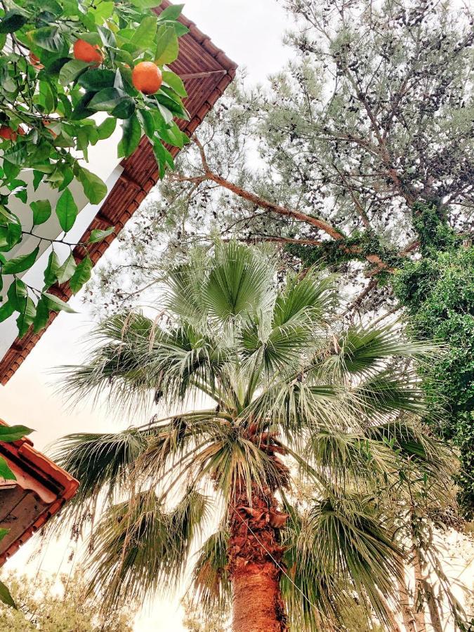 Villa Anais Πρίνος Εξωτερικό φωτογραφία