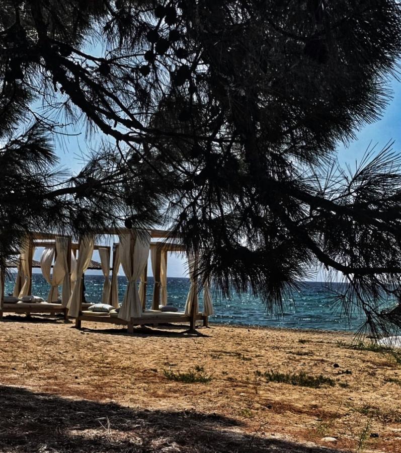 Villa Anais Πρίνος Εξωτερικό φωτογραφία